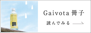 Gaivotaの冊子